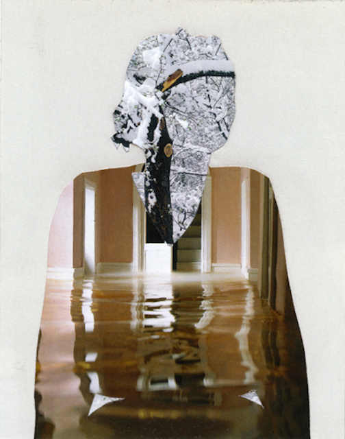 Melinda Gibson Photomontage XIV, from pages 31, 75, 127 of The Photograph As Contemporary Art 2009-2011 Unique Collage