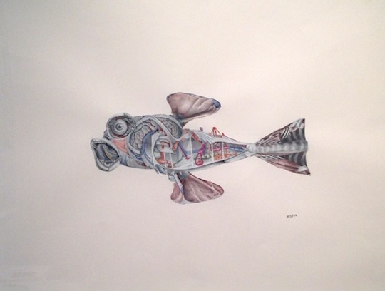 The Lonely Fish, 2013 25 x19.5" Mixed Media Collage