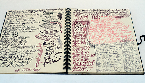 Excerpt from journal of Exene Cervanka, c. 1970s - early 80;s