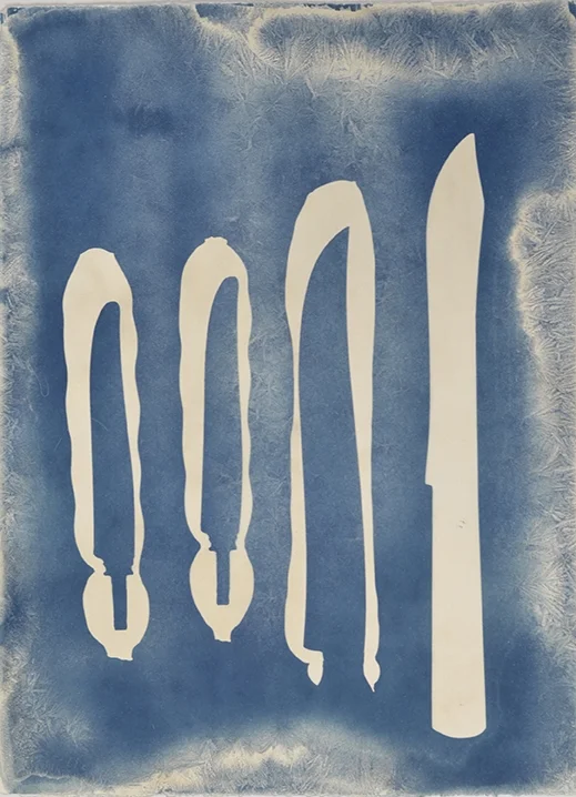 Mary Beth Heffernan Quad with Triple Knife Skeletons , 2011 5 x 7 inch cyanotype photogram Study for the series Blue Printed by the artist