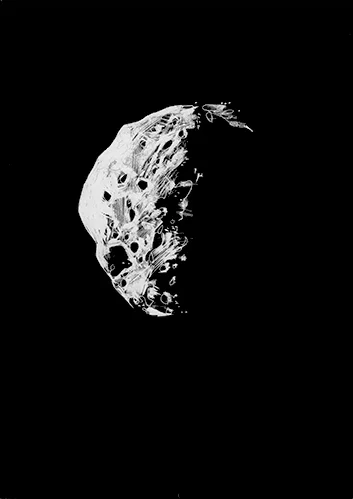 Karley Sullivan Epimetheus, 2014 5x7 inch Scratchboard, Unique