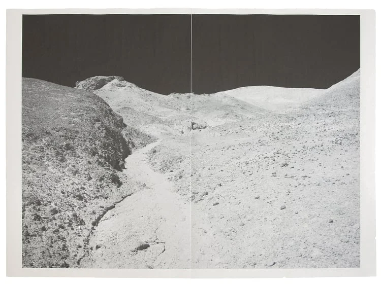 Alia Malley DV_8283, 2013 / 2015 Unique diptych pigment print on newsprint Sheet: 36 x 24 inches / Framed: 26.25 x 35.25 inches