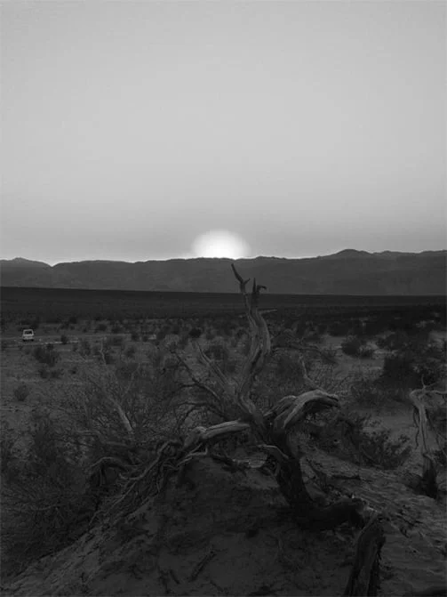 Alia Malley DV_7226, 2014 / 2015 Archival pigment print Framed to the image: 19 x 24.75 inches