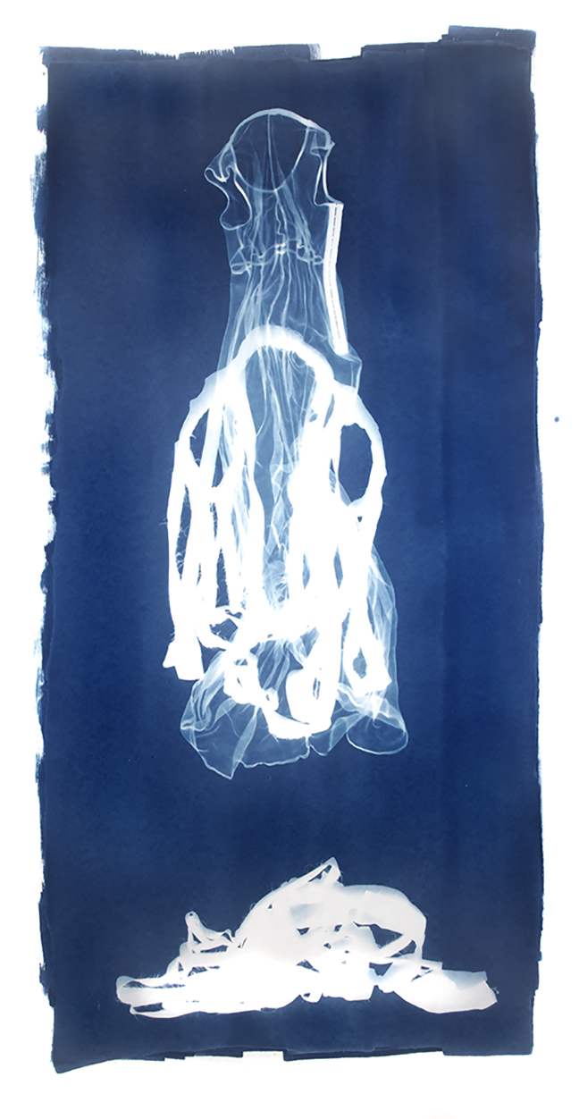 Mary Beth Heffernan Blue 4 , 2011 96x51 inch cyanotype photogram Unique