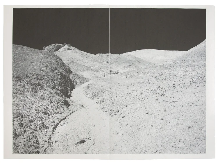 Alia Malley DV_8283 , 2013 / 2015 From the series, Captains of the Dead Sea Unique diptych pigment print on newsprint Sheet: 36 x 24 inches / Framed: 26.25 x 35.25 inches
