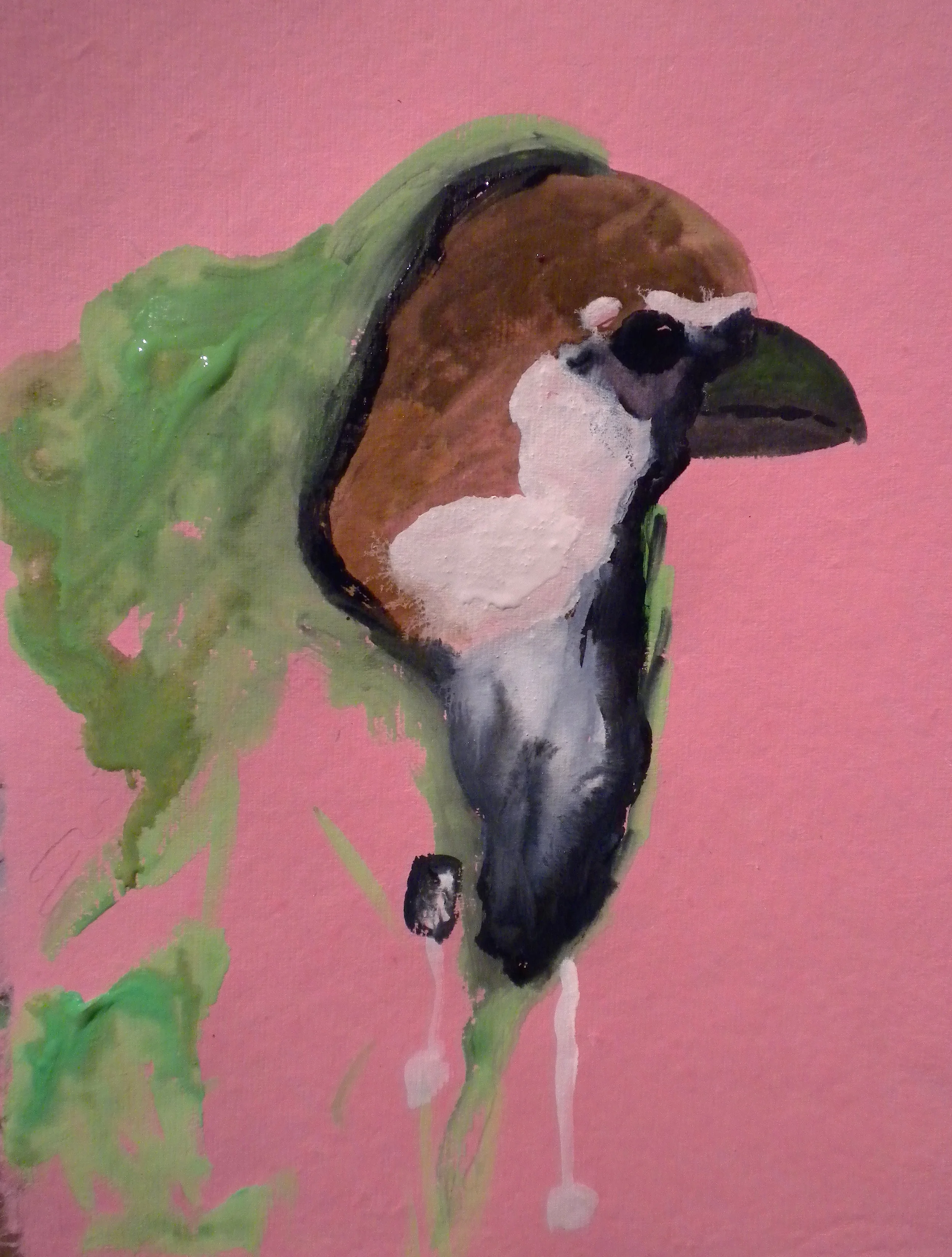 Bird Hoodie (Derelict Sparrow).jpg