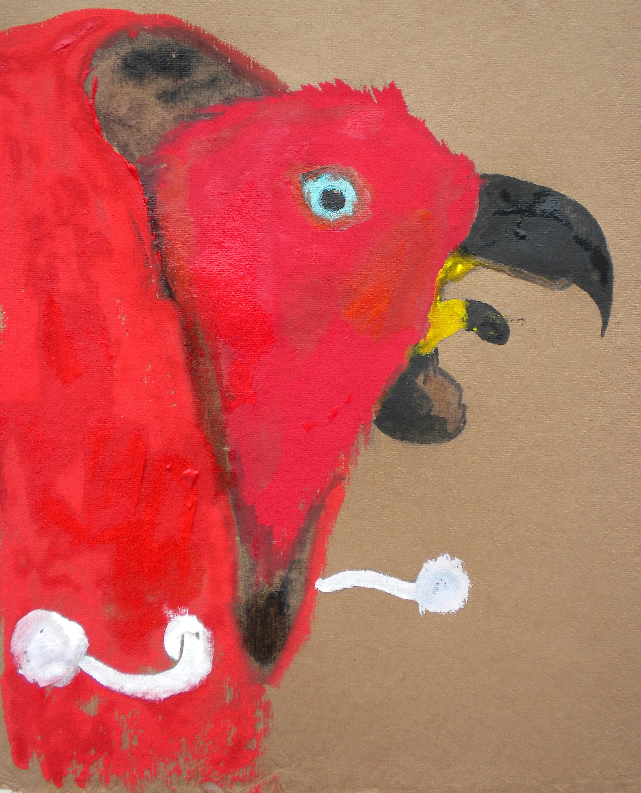 Bird Hoodie (Sharp Billed Eclectus).jpg