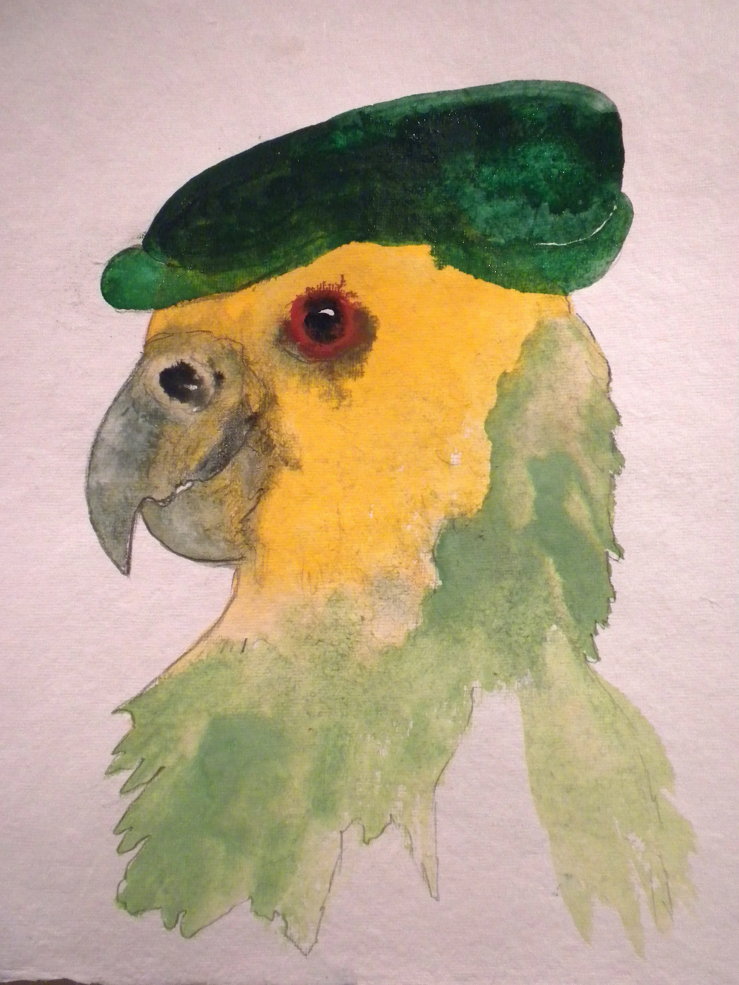 Bird Hat (Dedicated Follower of Fashion).jpg