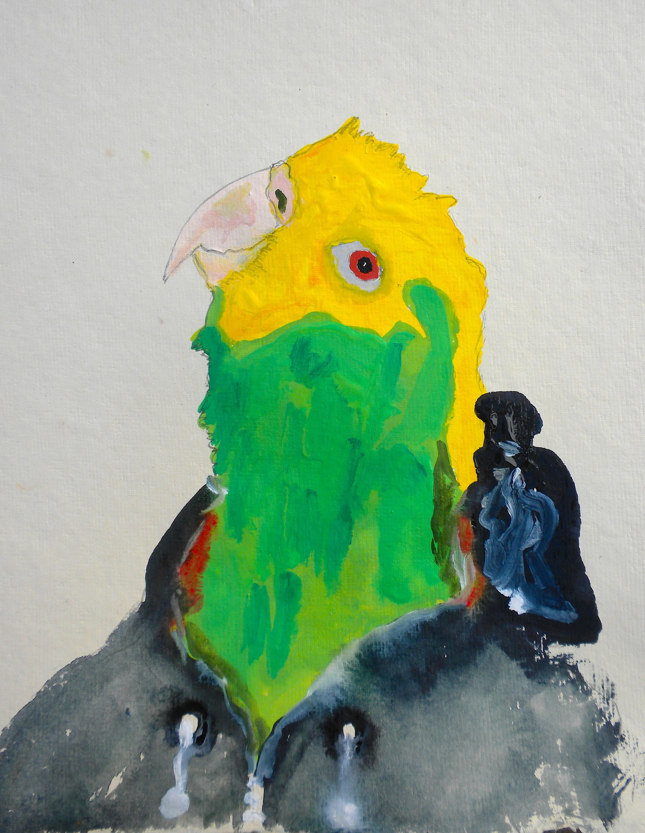 Bird Hoodie(curious Yellow Head).jpg