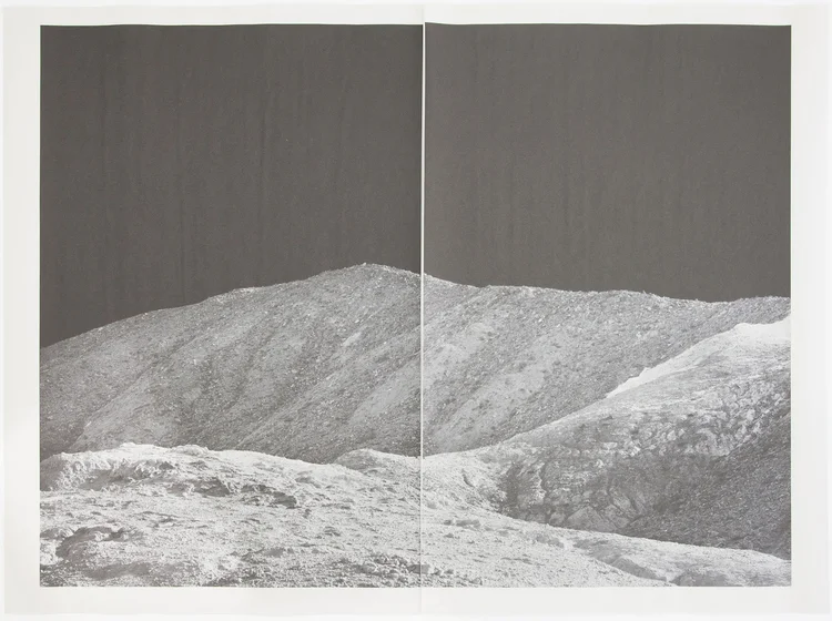 Alia Malley DV_7424 , 2012 / 2015 Unique diptych pigment print on newsprint Sheet: 36 x 24 inches / Framed: 26.25 x 35.25 inches $3,500 mounted and framed