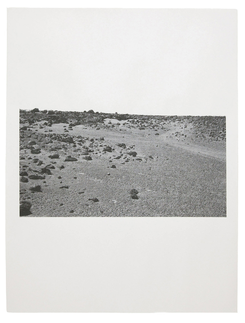 Alia Malley DV_8188 , 2014 / 2015 Unique pigment print on newsprint Sheet: 18 x 24 inches / Framed: 20.25 x 26.25 inches $2,700 mounted and framed