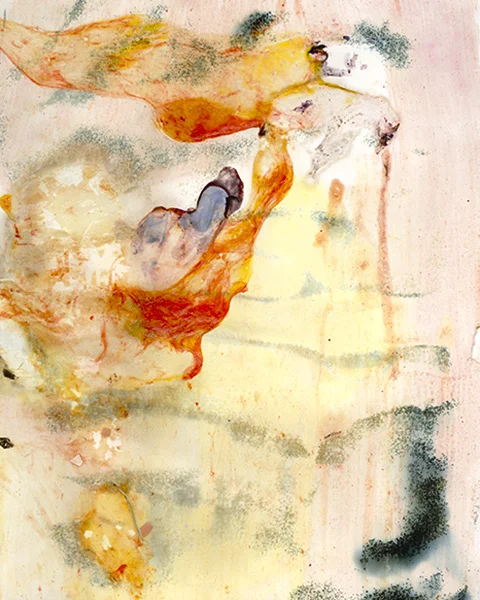 Arden Surdam Grilled Octopus(sy), 2015 Squid, Eggs, Breadcrumbs, Salt & Pepper, Gum Bichromate From the series How to Tell When It's Done Number 1 from a Limited Edition of 2 with 2 APs Archival Pigment Print, 40 x 50 inches
