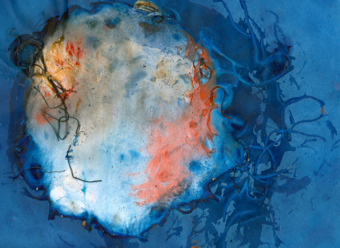 Arden Surdam Eccentric Behavior, 2015 Pasta, Egg Whites, Fire Opal Photo Oil, Salt & Pepper, Cyanotype From the series How to Tell When It's Done Number 1 from a Limited Edition of 2 with 2 APs Archival Pigment Print, 40 x 50 inches