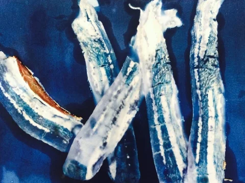 Arden Surdam Remember When You Were Vegetarian?, 2015 Maple Cured Bacon and Cyanotype From the series How to Tell When It's Done Number 1 from a Limited Edition of 2 with 2 APs Archival Pigment Print, 40 x 50 inches