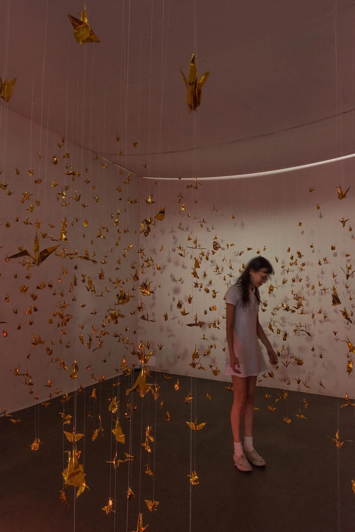 Isabelle Harada W=Fd , 2016 Variable dimensions 999 foil origami cranes, thread, mylar gels