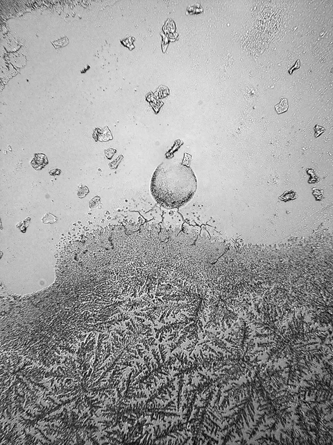 Rose Lynn Fisher After the Sun Came the Tears , 2013 - 2015 From the series, The Topography of Tears Archival pigment print Image: 6 x 4.5 inches / Sheet: 8.5 x 7 inches