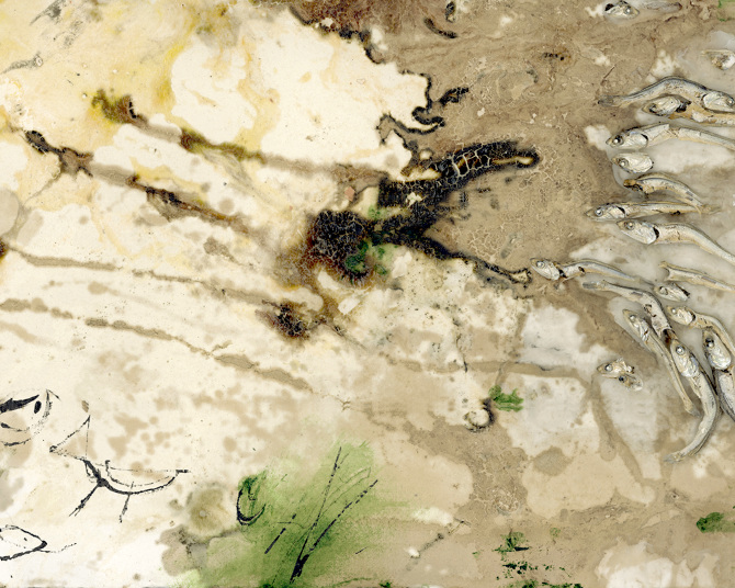 Arden Surdam No End in Sight for Sardine Man , 2016 Tannic Acid, Sardines, tsavorite green photo oil, ink From the series How to Tell When It's Done Number 1 from a Limited Edition of 2 with APs Archival Pigment Print, 40 x 50 inches