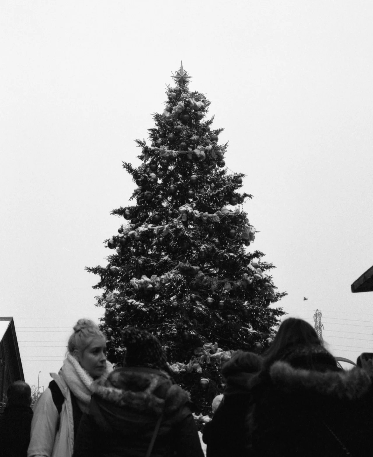 img009.jpg