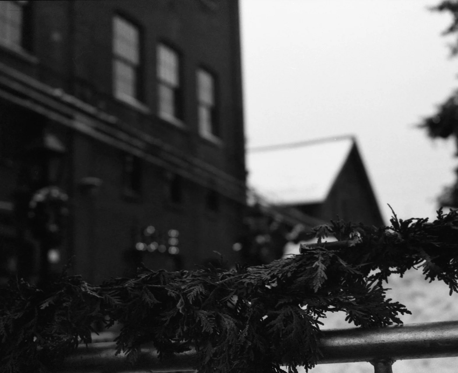img010.jpg