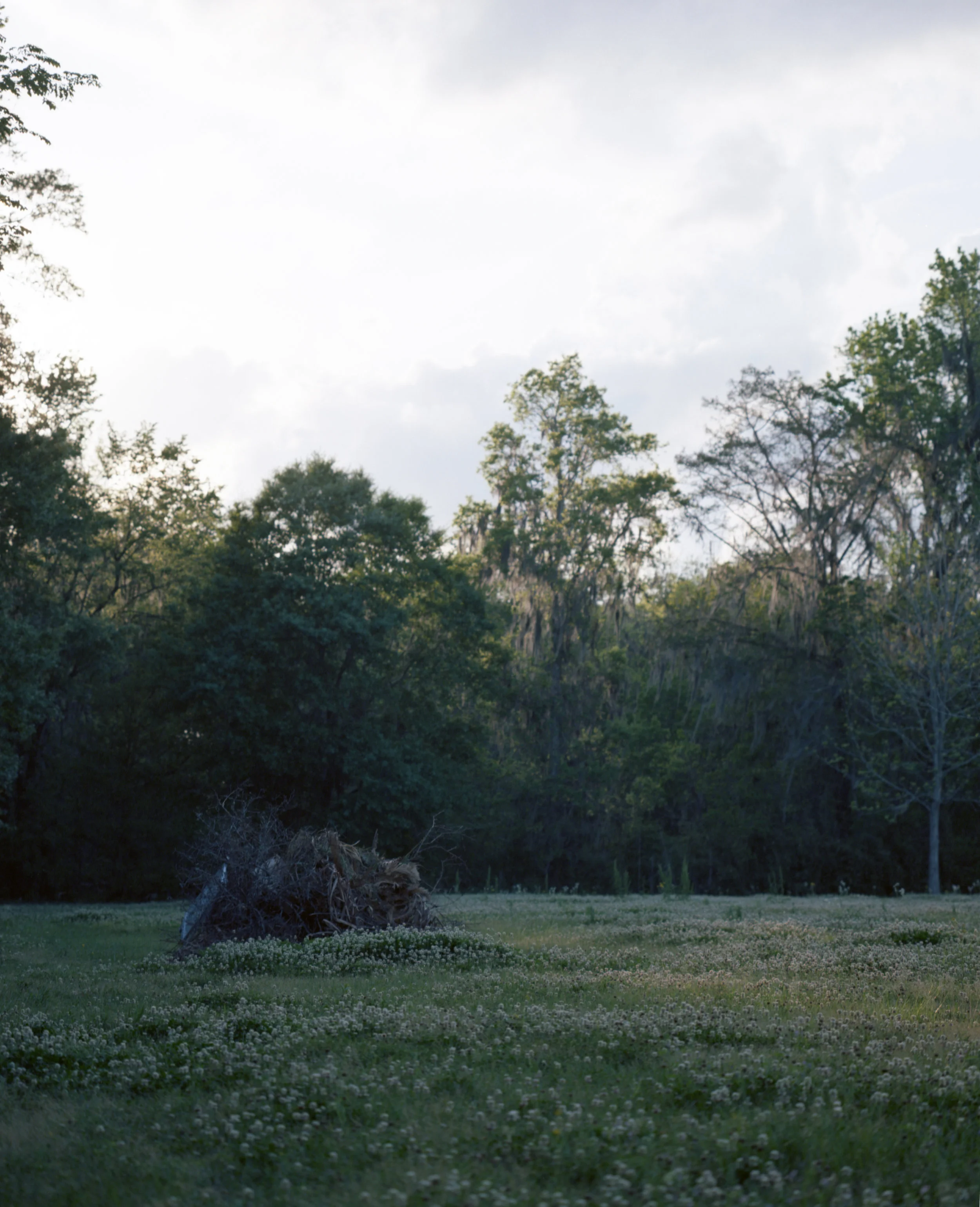 img001.jpg