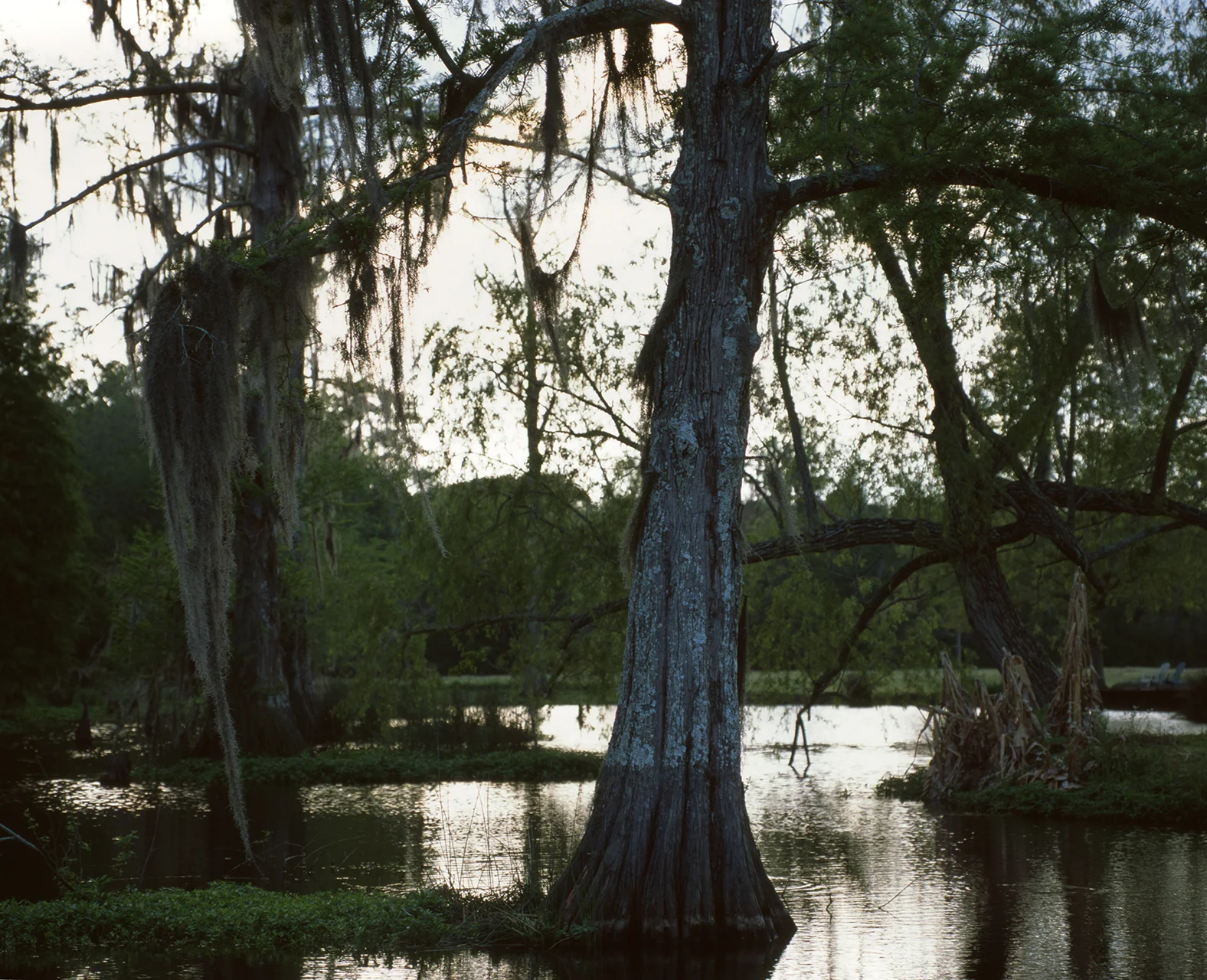 img003.jpg