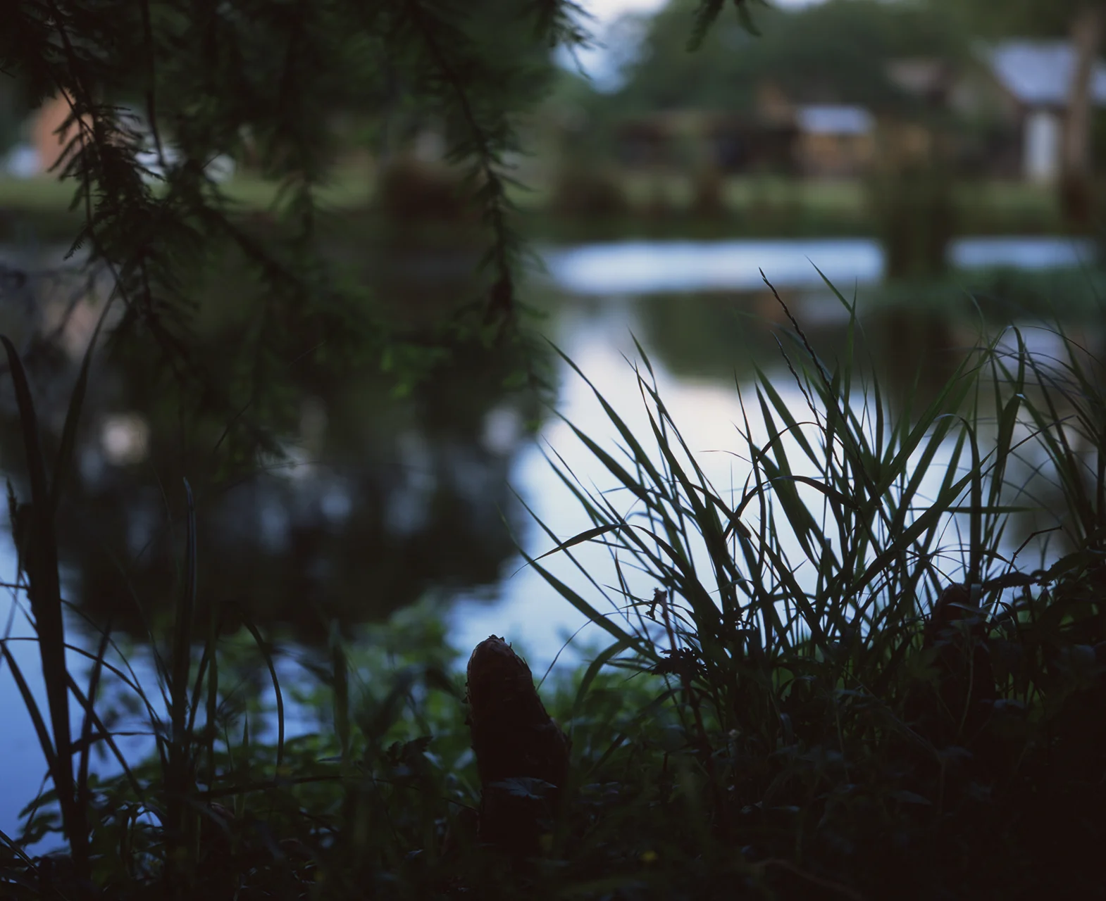 img008.jpg