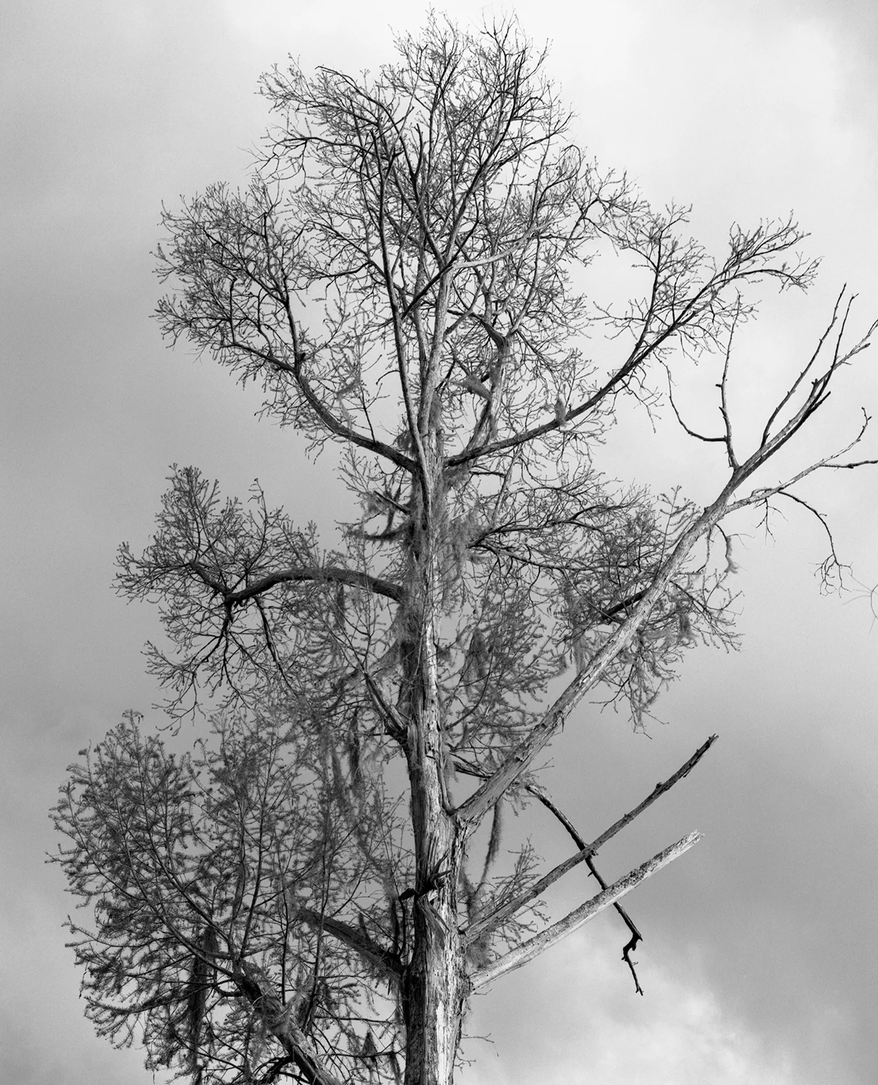 img003.jpg