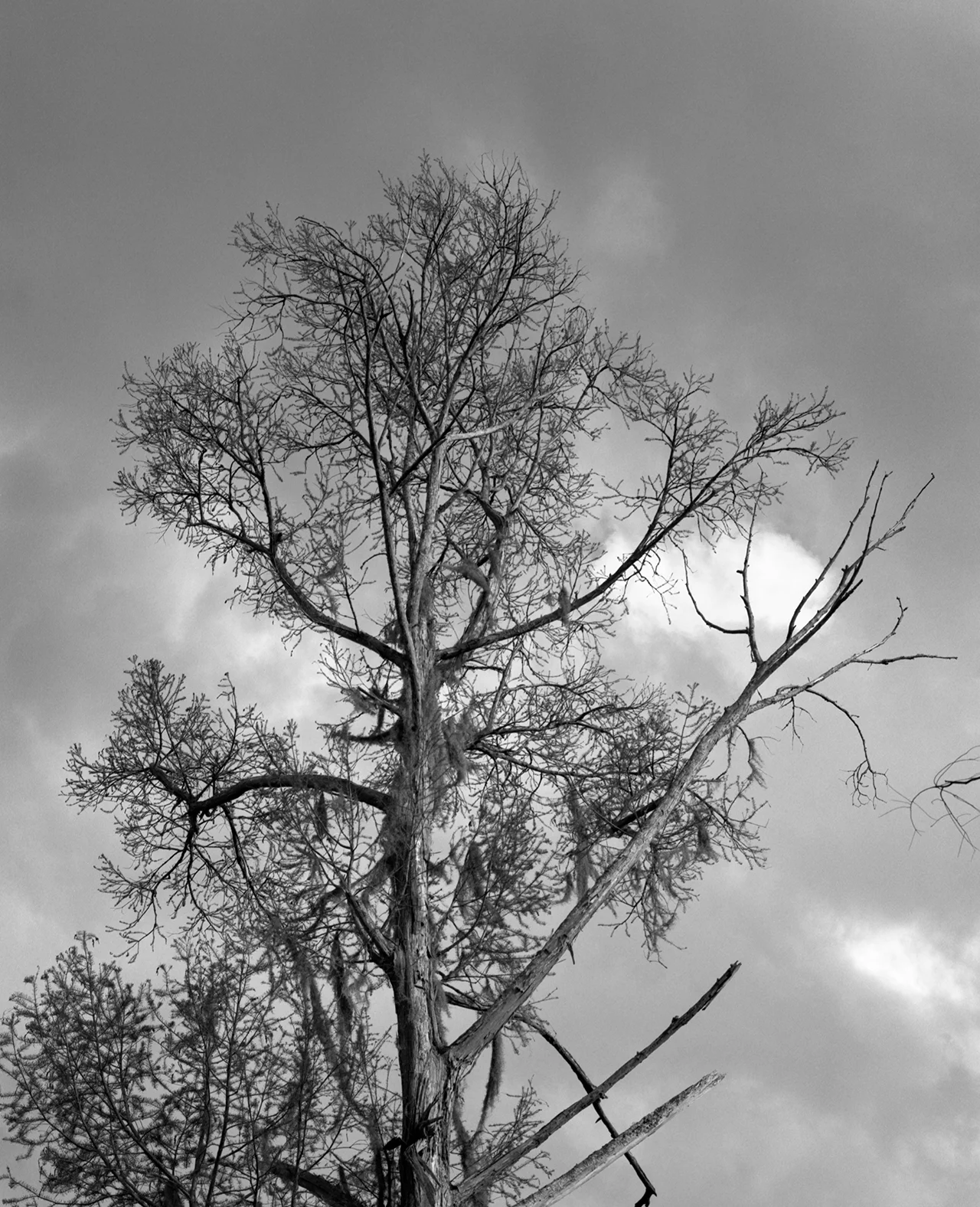 img005.jpg