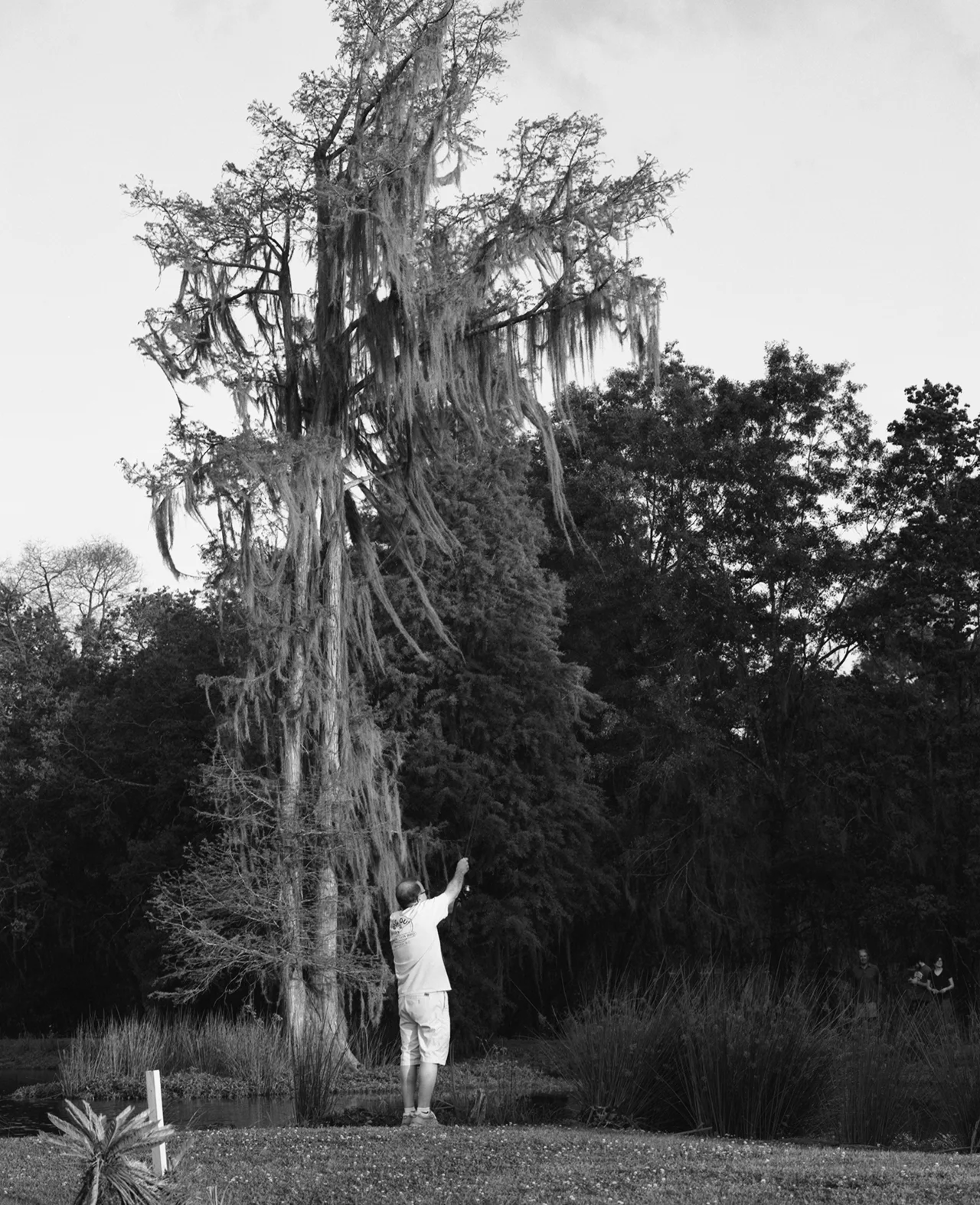 img004.jpg