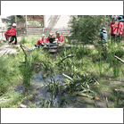 3projects32vicschools.gif
