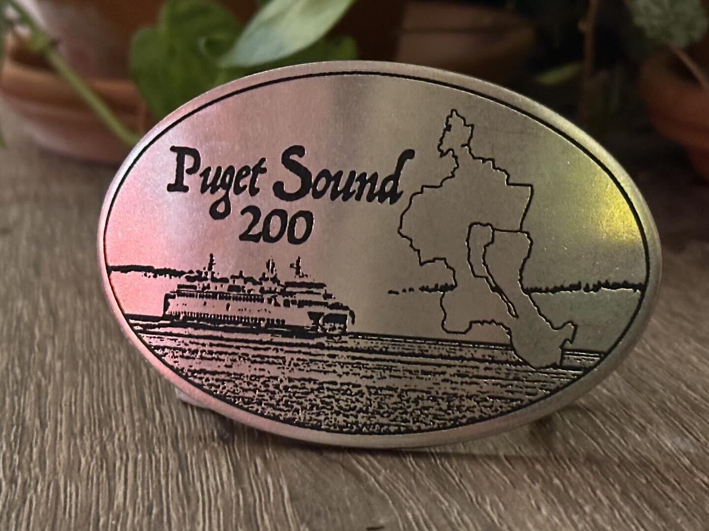 After @drstinch and I finished the Puget Sound 200 I had buckles made to commemorate the adventure. Pretty cool.

Thank you to @gabes_misadventures and @ultrakraut for sharing their custom Tor buckles to inspire the idea and sharing the buckle maker 