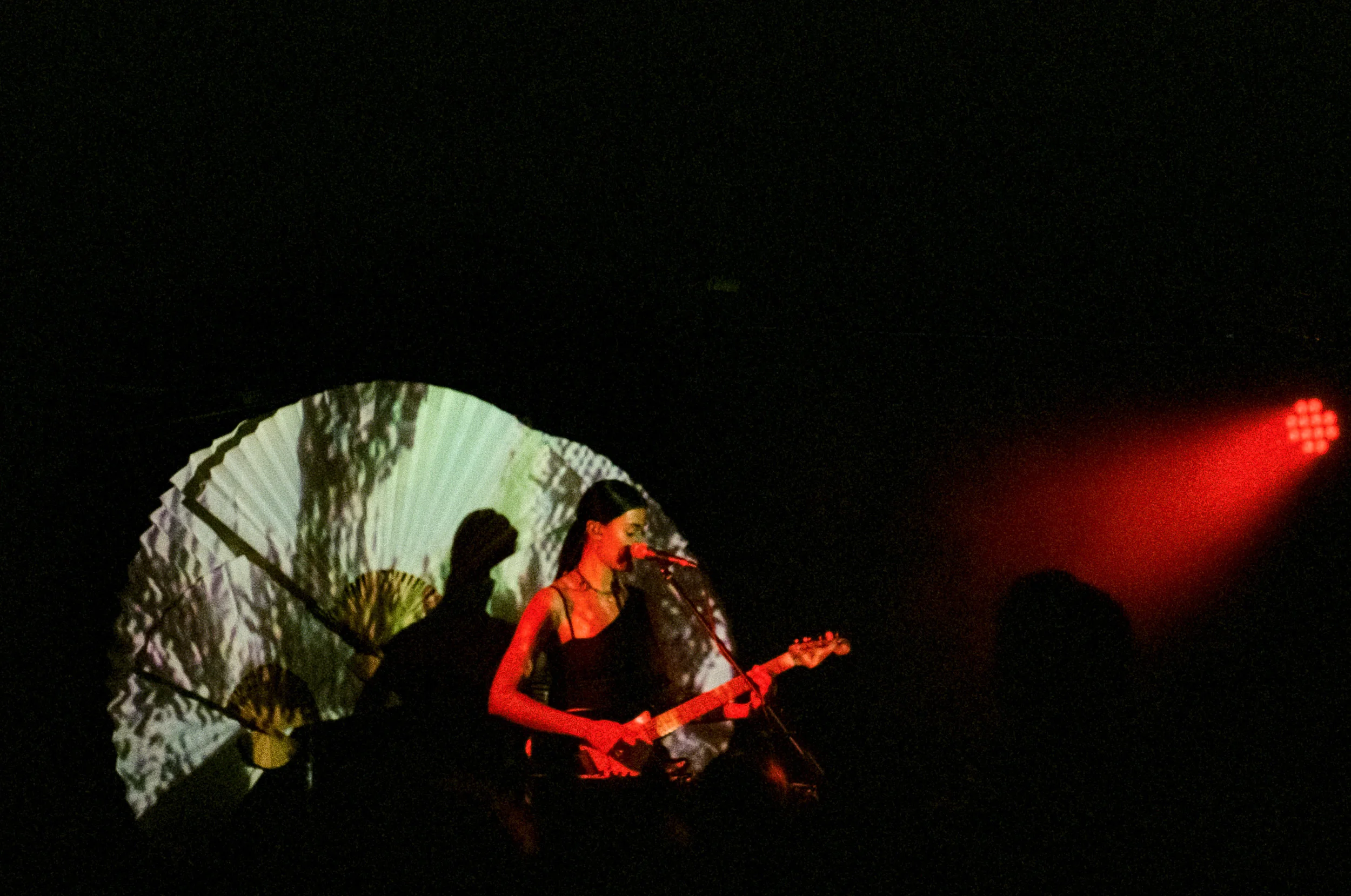 averagecabbage.mp3-Milan-Ring-Lansdowne-20.jpg