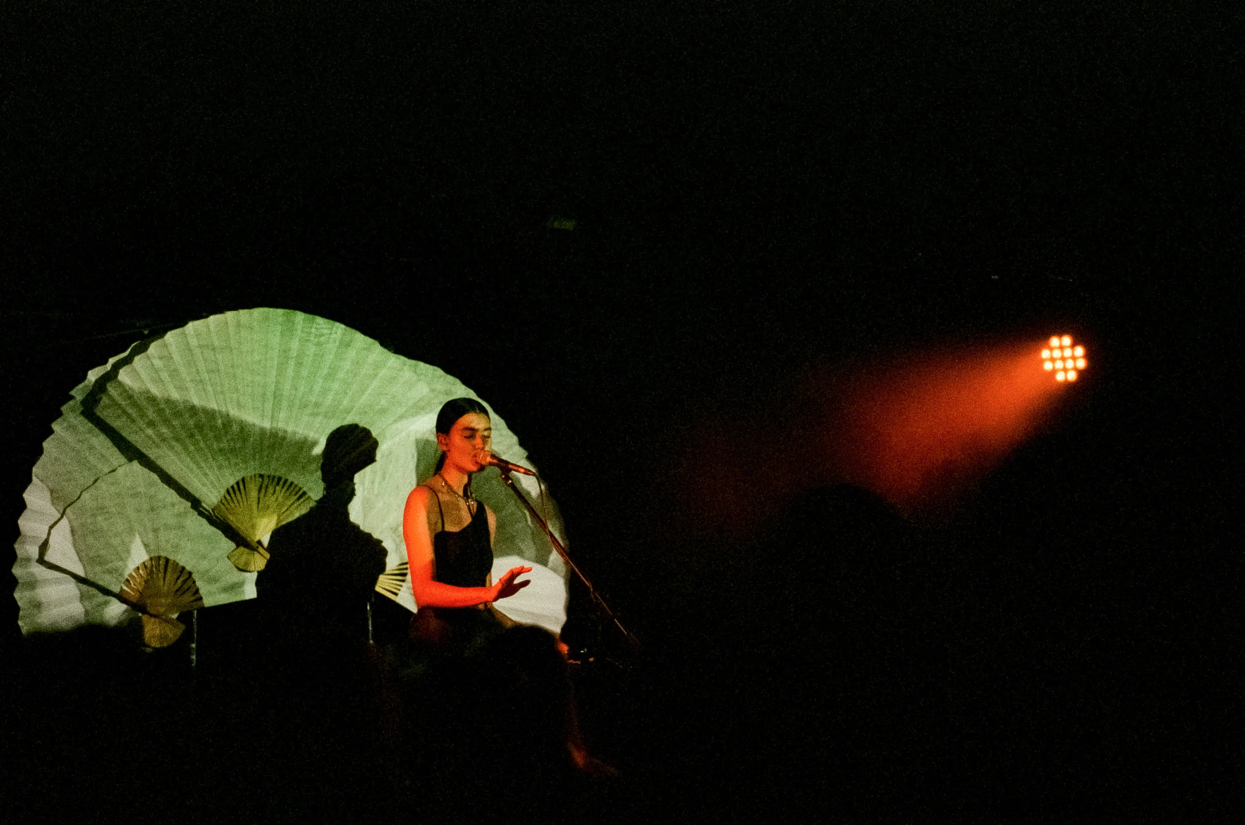 averagecabbage.mp3-Milan-Ring-Lansdowne-19.jpg