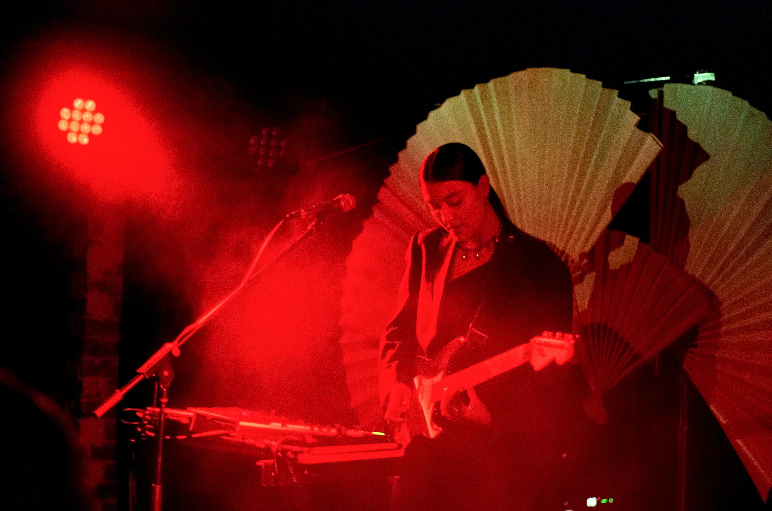 averagecabbage.mp3-Milan-Ring-Lansdowne-15.jpg