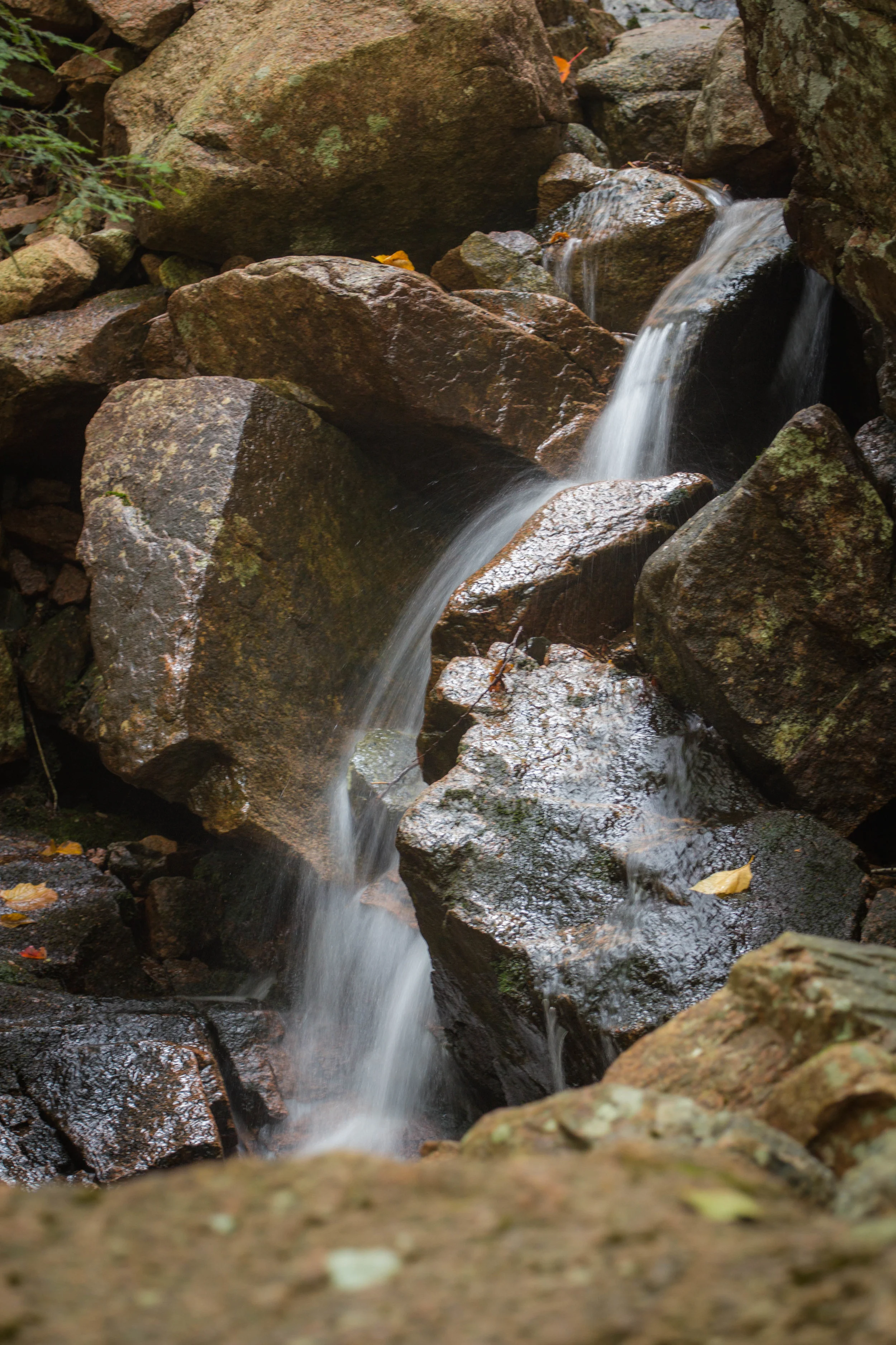 _MG_8294.jpg
