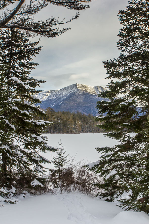 _MG_4239.jpg