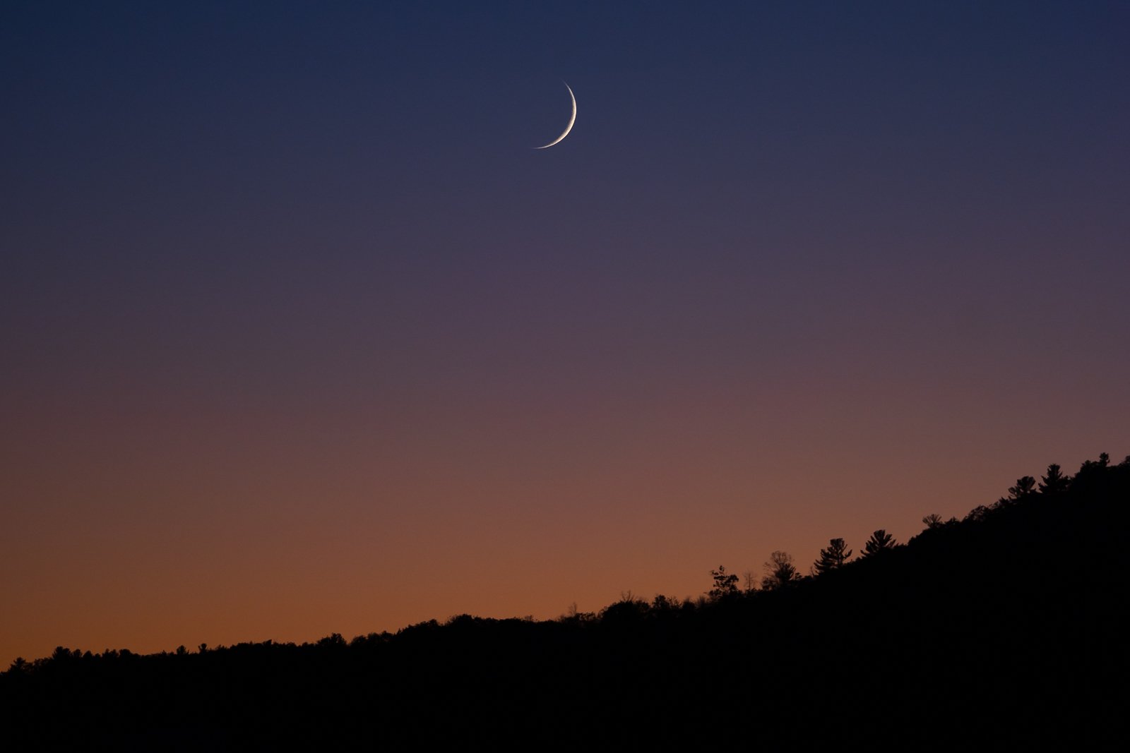 001Crescent Moon LR07765.jpg