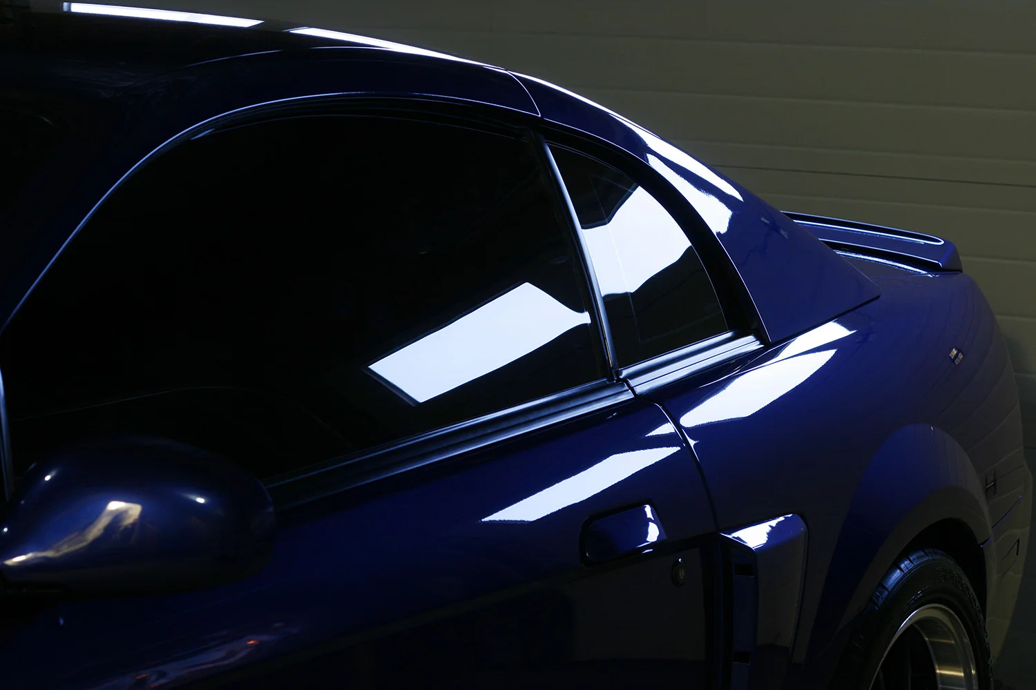 cobra.jpg