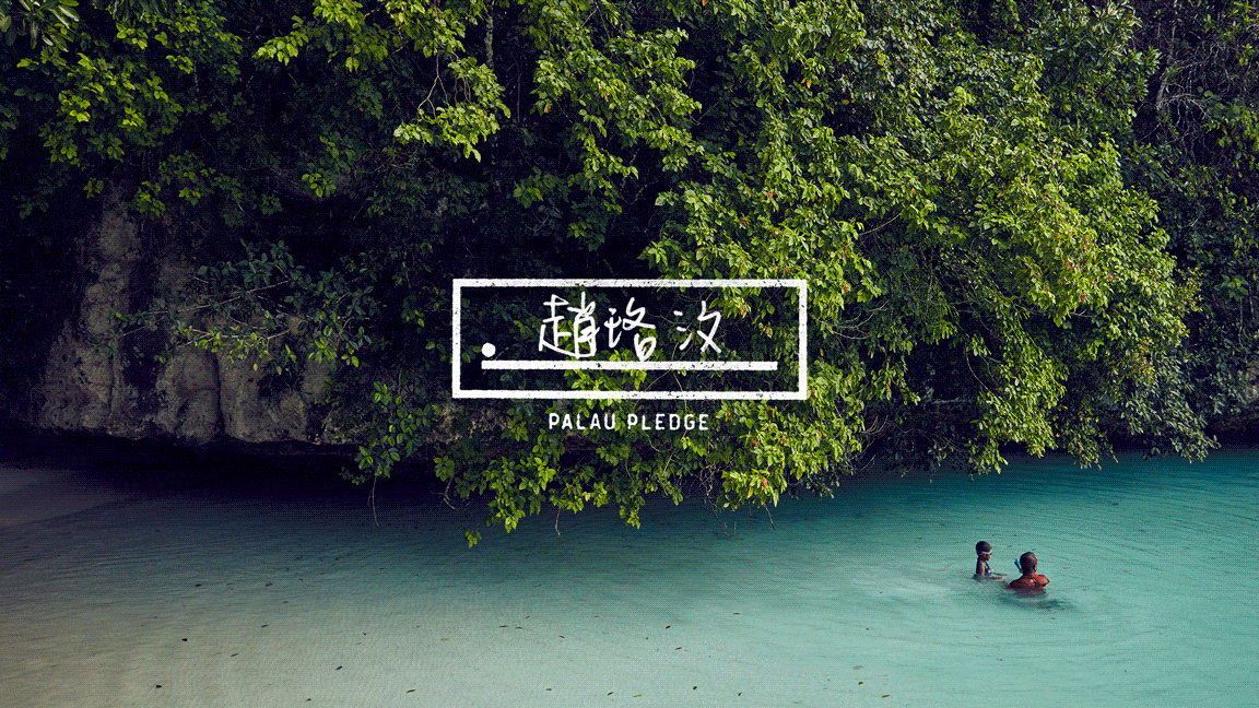 Palau-Havas-Website-Signature-GIF_60_.gif