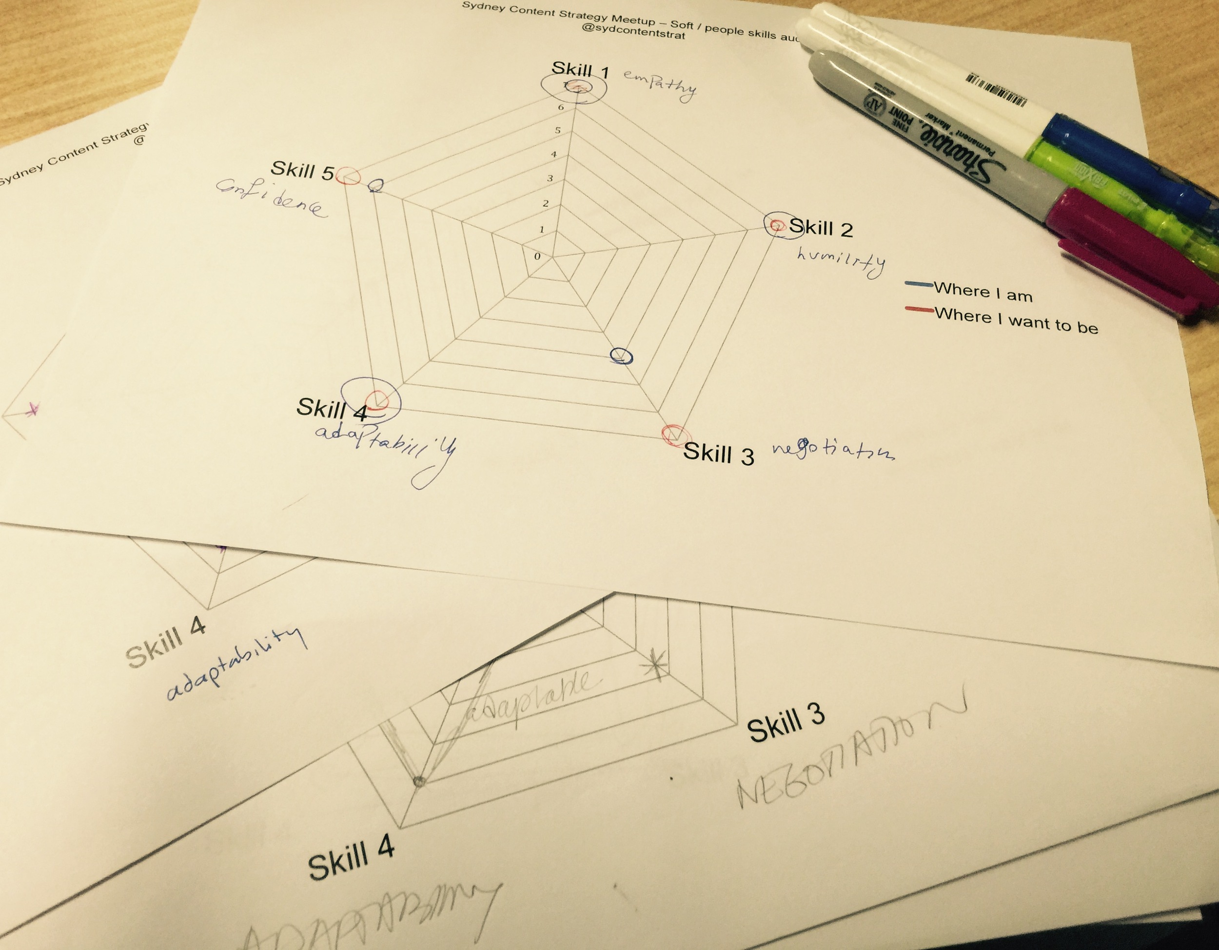 Examples of the self assessment audit that participants completed