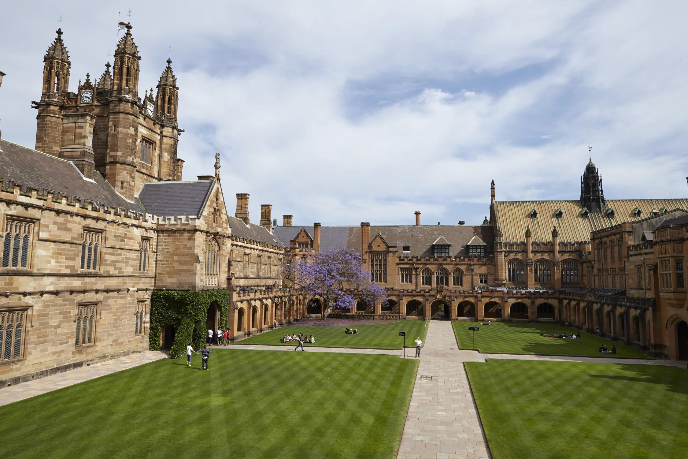 Sydney uni.jpg