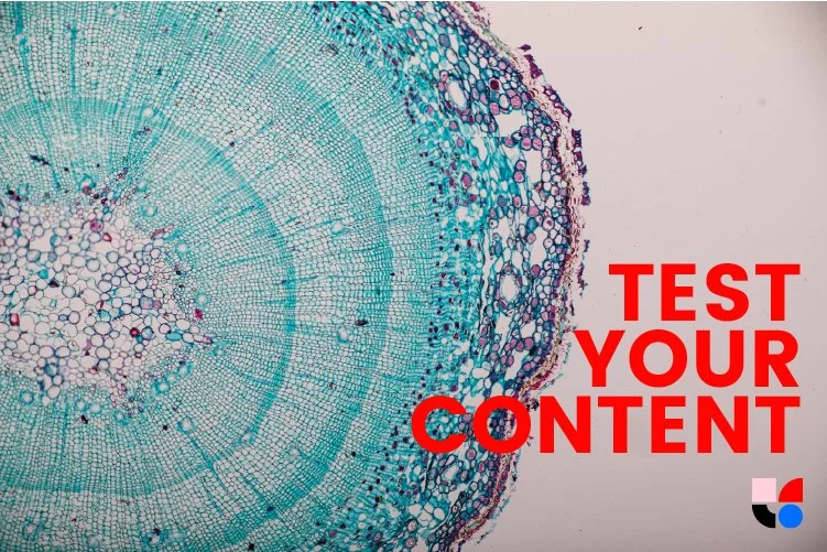 User testing for content and wayfinding — Elle Geraghty | Content Strategy