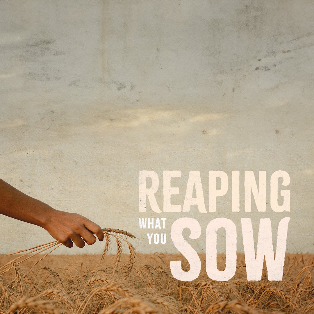 Reaping What You Sow