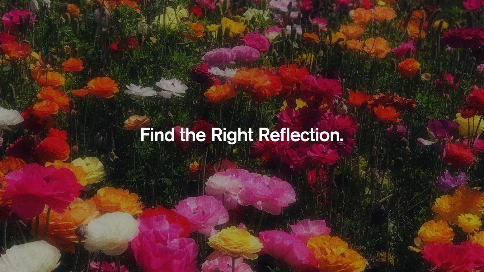 Mosaic 2026 Header Image.jpg