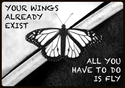 butterflywings.jpg