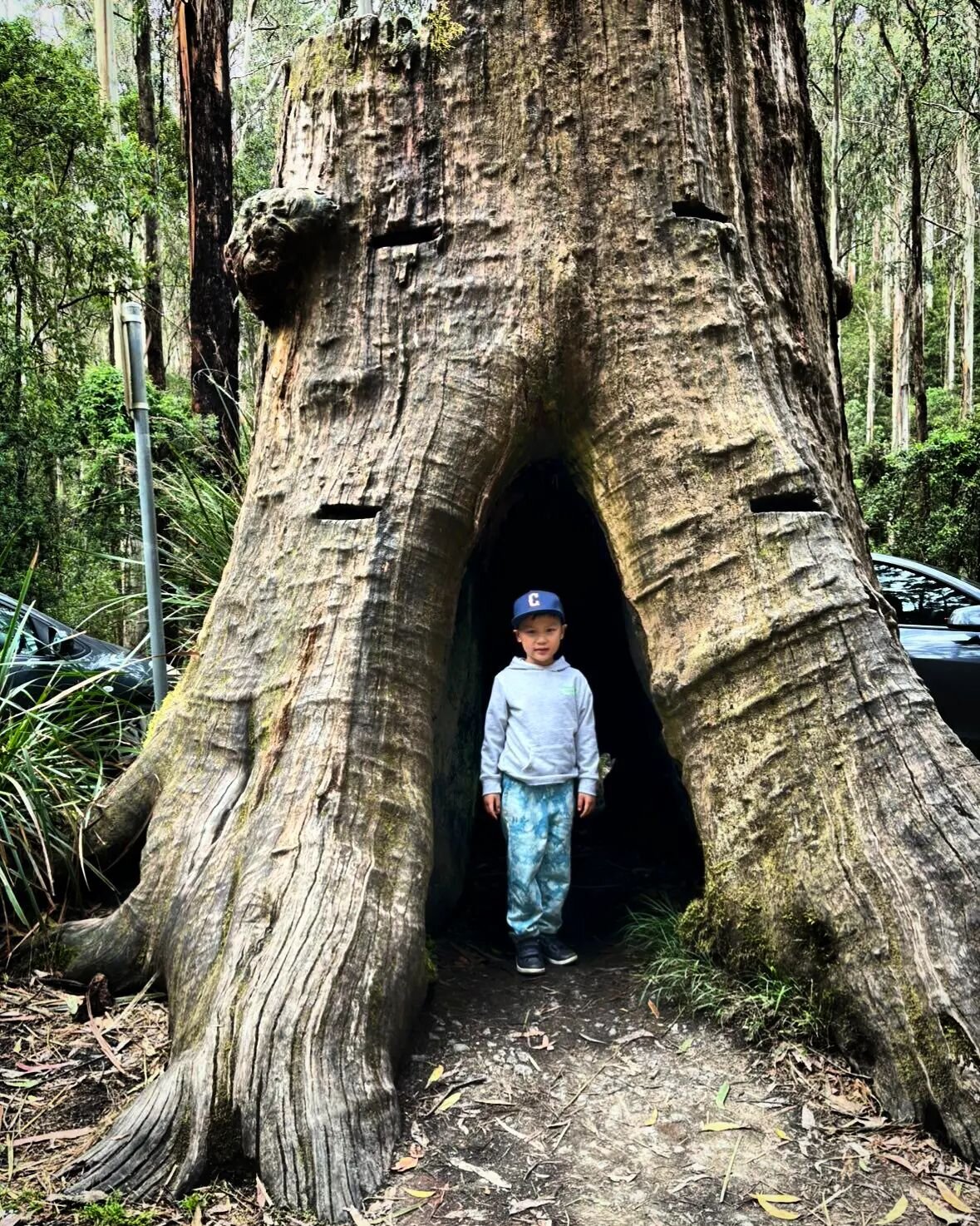 Little adventurer, big dreams 🏞️
@karen__k 
.
.
.
#rookieandco #belittledreambig #kidssnapback #kids #snapback #kidshats #hats #personalisedcaps #caps #personalised #weekend #explorer #nature #tree #dreambig