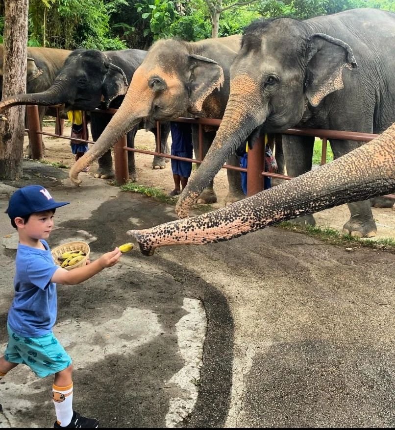 Don't worry, I&rsquo;ll feed each and ivory one of you...
@lindy1777 
.
.
.
#rookieandco #belittledreambig #kidssnapback #snapback #kids #personalisedcaps #caps #personalised #giftideas #kidshats #hats #weekend #elephants