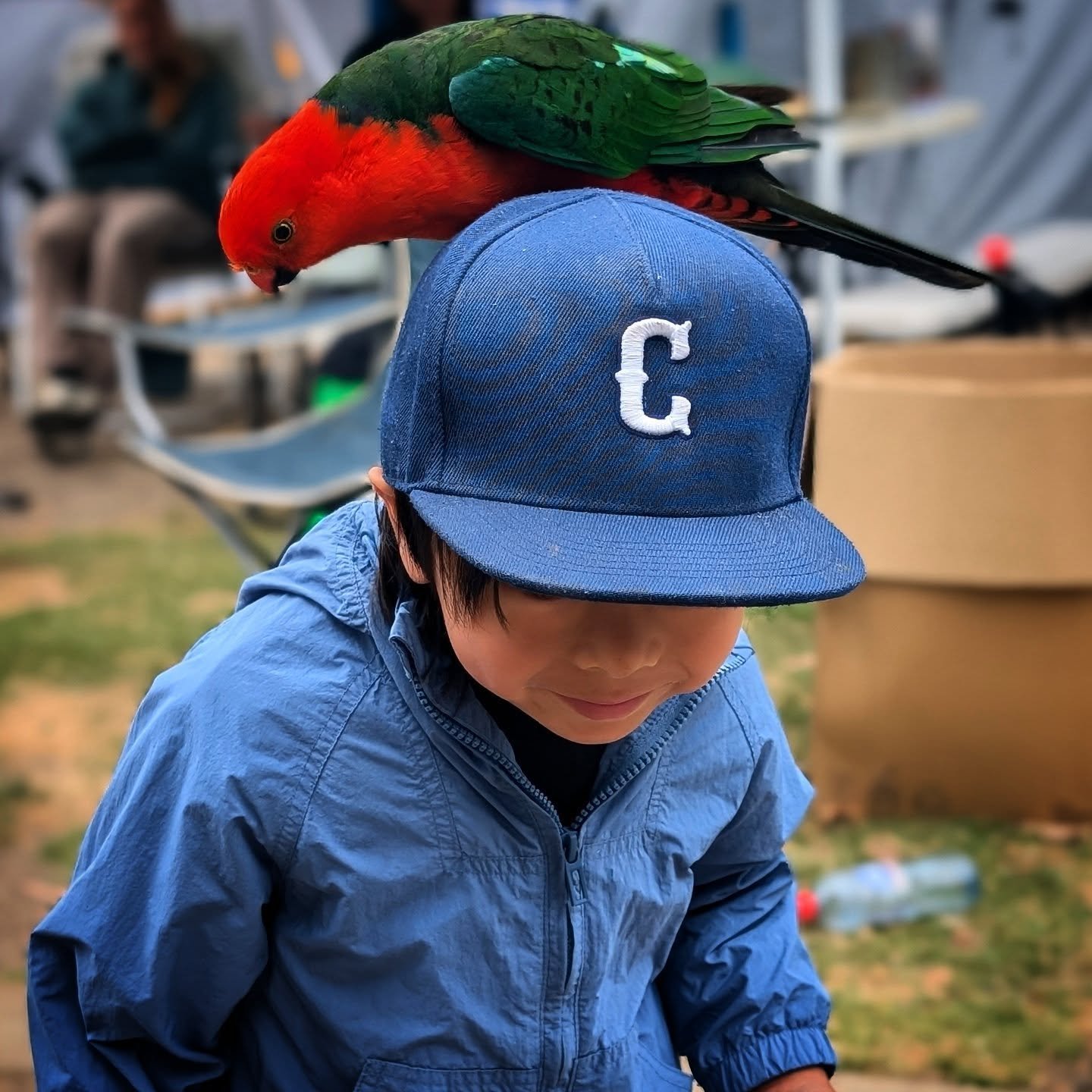 So fly, even birds want a piece of it!

#rookieandco #customcap #kidssnapback #kidshats #kids #snapback #hat #cap #personalisedcaps #personalised