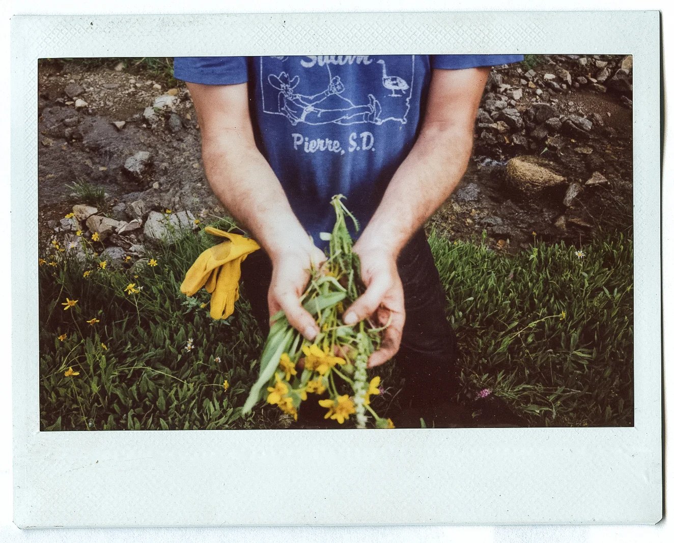untitled-1-2.jpg