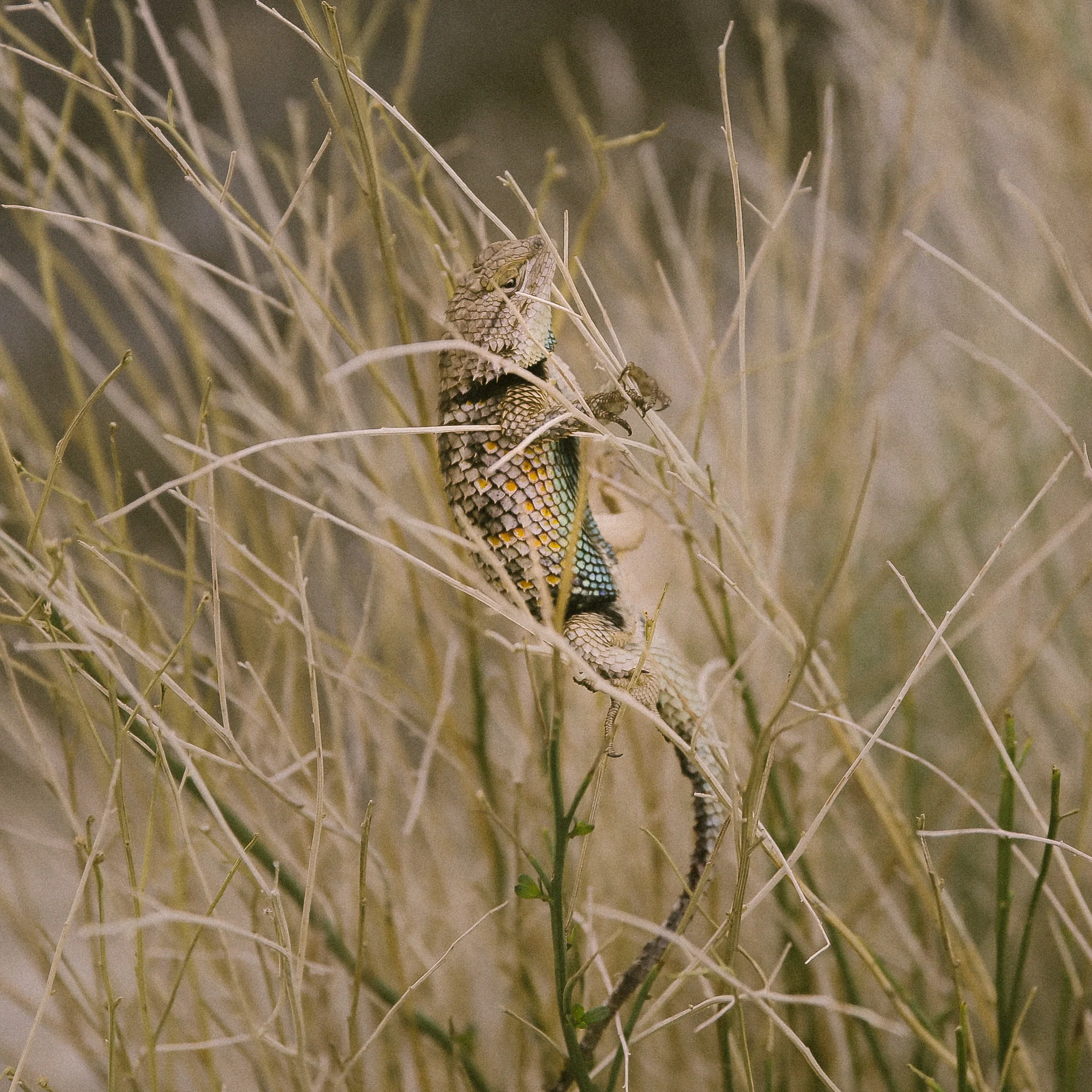 untitled-0994.jpg